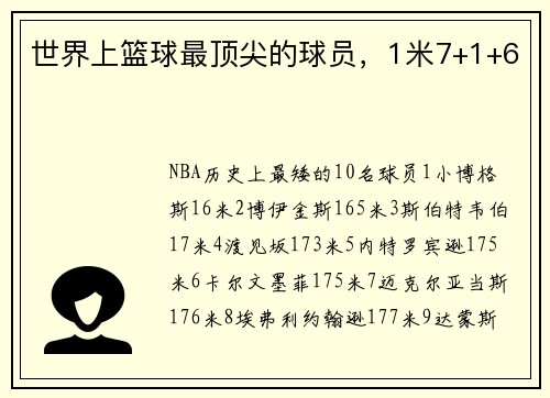 世界上篮球最顶尖的球员，1米7+1+6